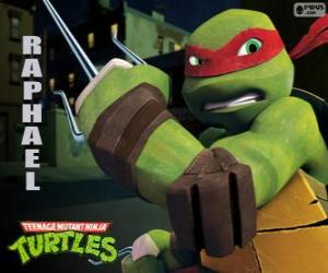 yapboz Raphael, elinde silah ile daha agresif bir ninja kaplumbağa, Sai bir çift, üç yönlü bir hançer